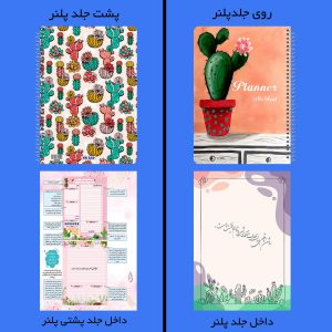 پلنر روزانه مستر راد طرح کاکتوس کد EXO-1512